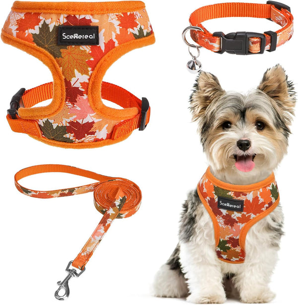 Fall Dog Harness Collar and Leash Set for Small Dogs, Orange Leaf No Pull Dog Harnesses, Adjustable Step in Pet Vest for Doggie Puppy Cats Walking Outdoor