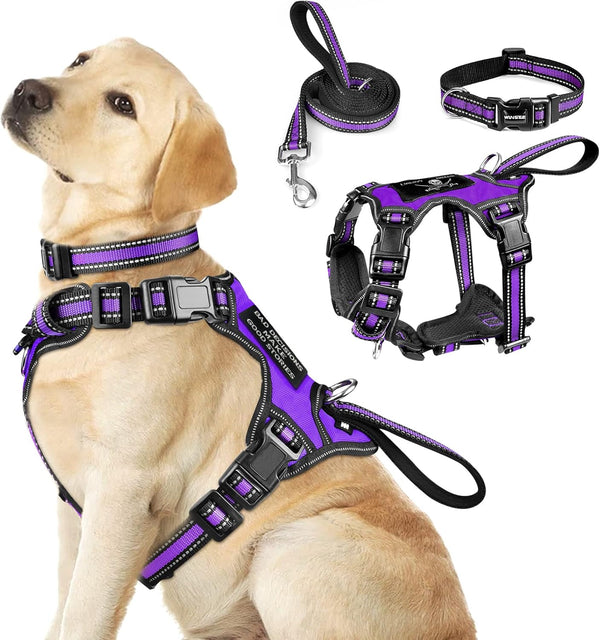 Pet Harness Collar and Leash Set, All-in-one Reflective Dog Harness No Pull with Adjustable Buckles for Puppies